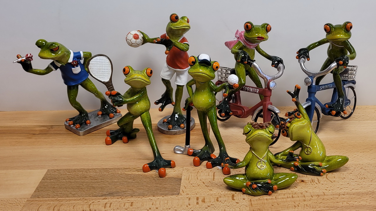 Frosch23 1